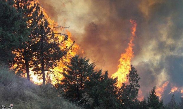 آتشسوزیهای تابستانی تهدیدی جدی برای بهبودی لایه ازن آتشسوزیهای تابستانی تهدیدی جدی برای بهبودی لایه ازن